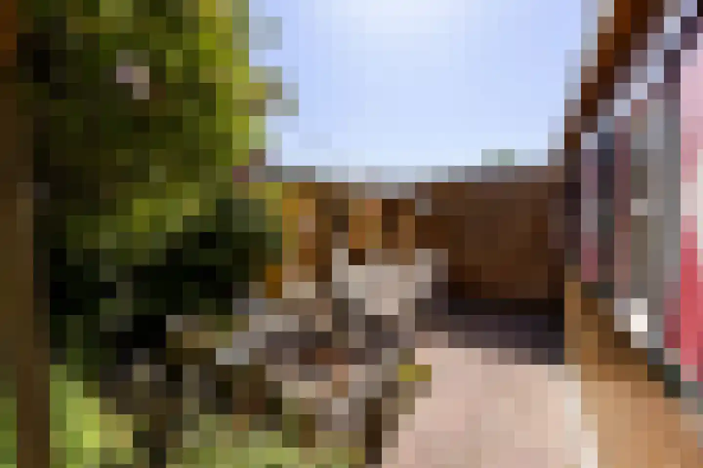 Merkelân 20 Witmarsum thumbnail 20