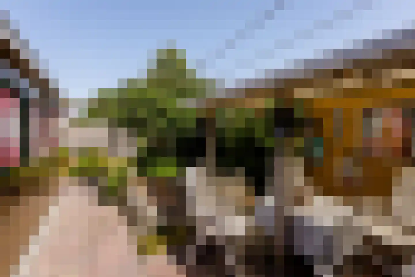 Merkelân 20 Witmarsum thumbnail 21