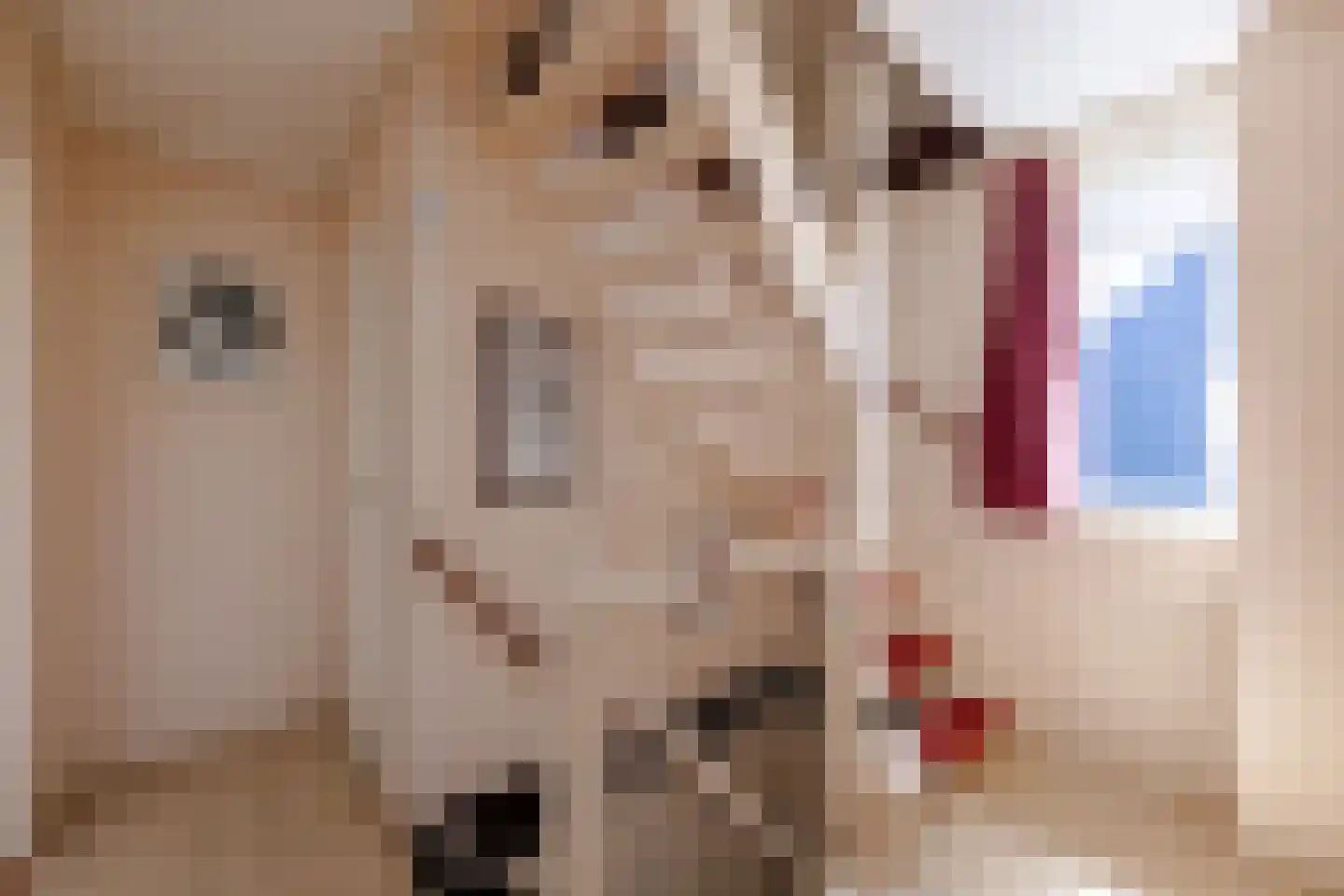 Merkelân 20 Witmarsum thumbnail 22