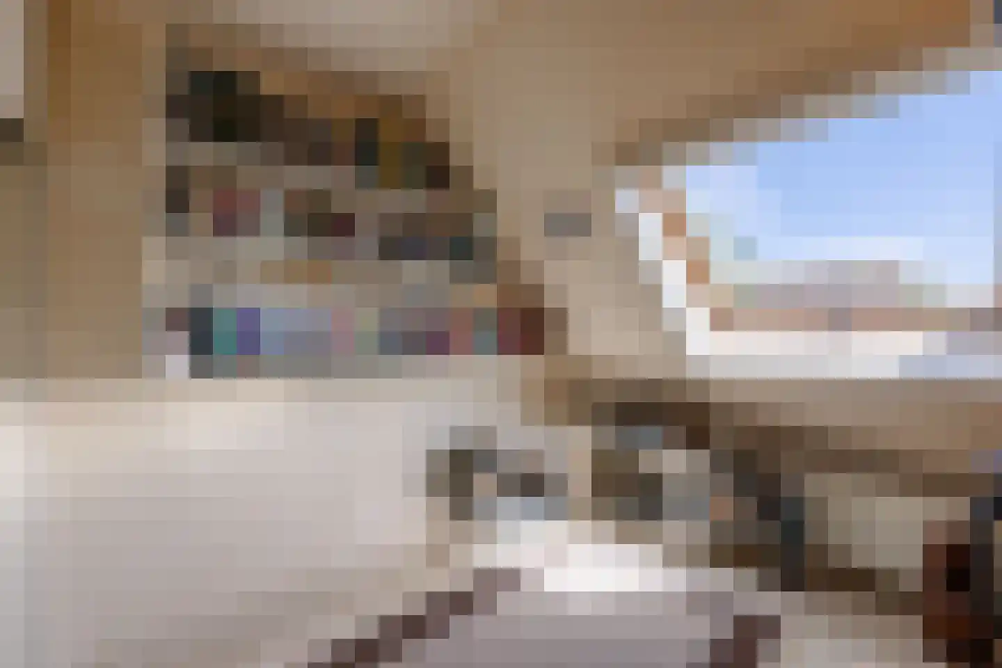 Merkelân 20 Witmarsum thumbnail 23