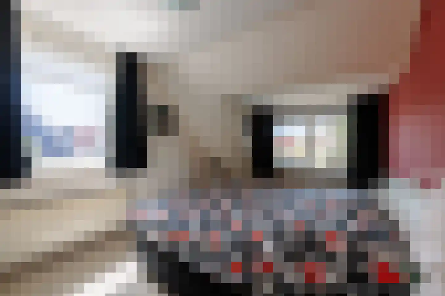 Merkelân 20 Witmarsum thumbnail 24