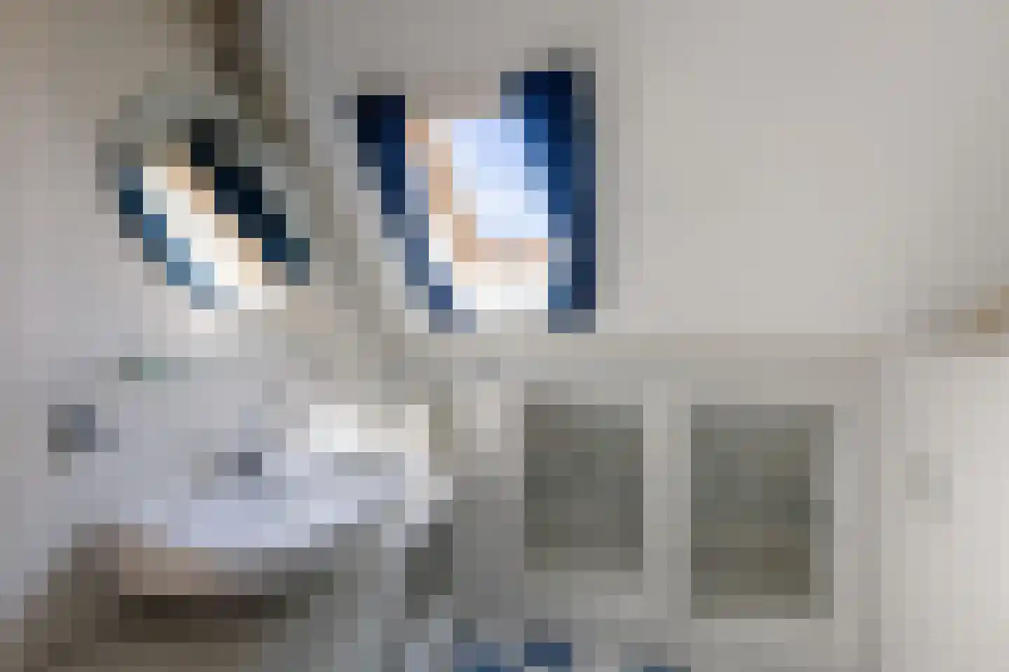 Merkelân 20 Witmarsum thumbnail 27