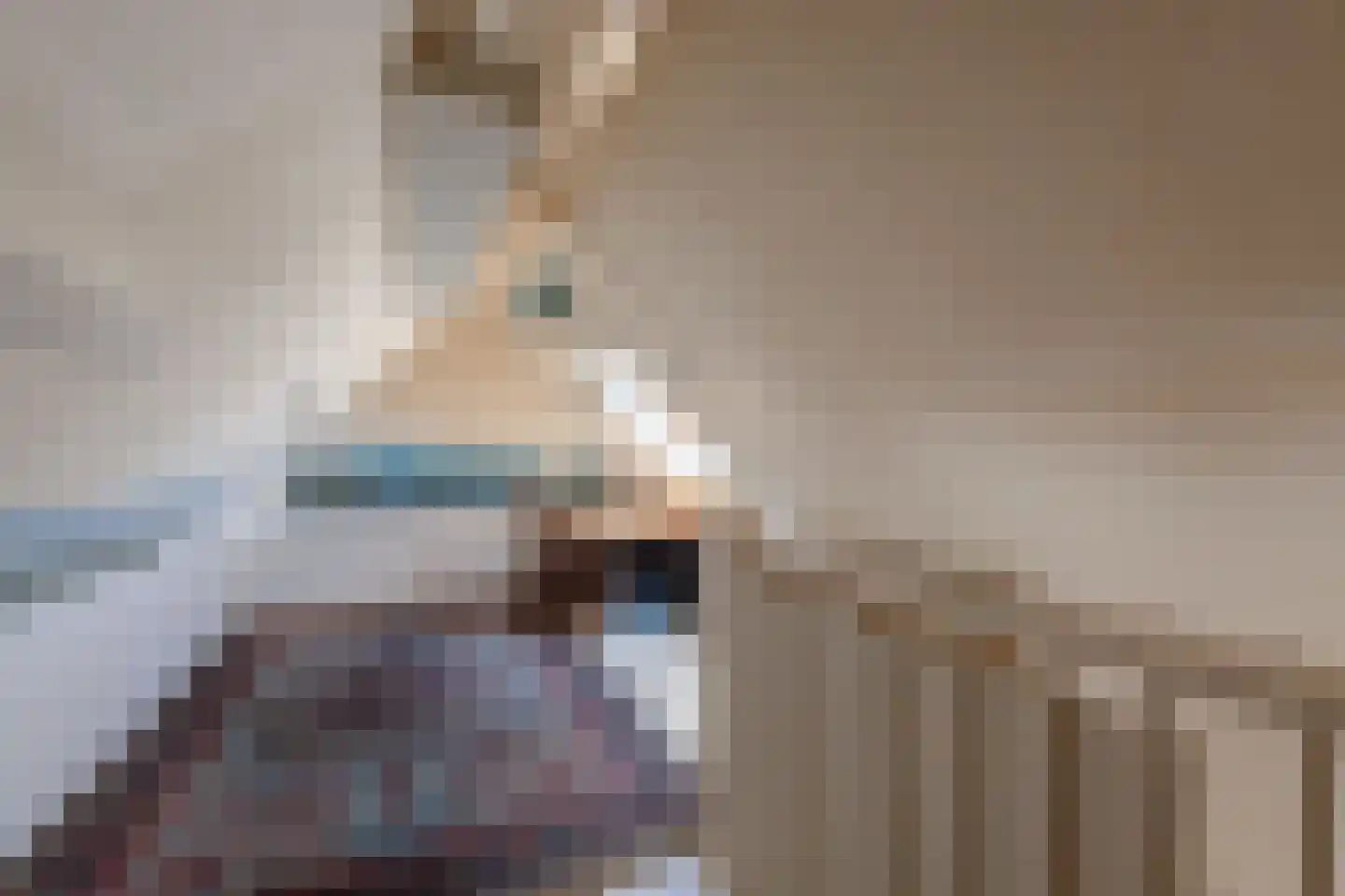 Merkelân 20 Witmarsum thumbnail 28