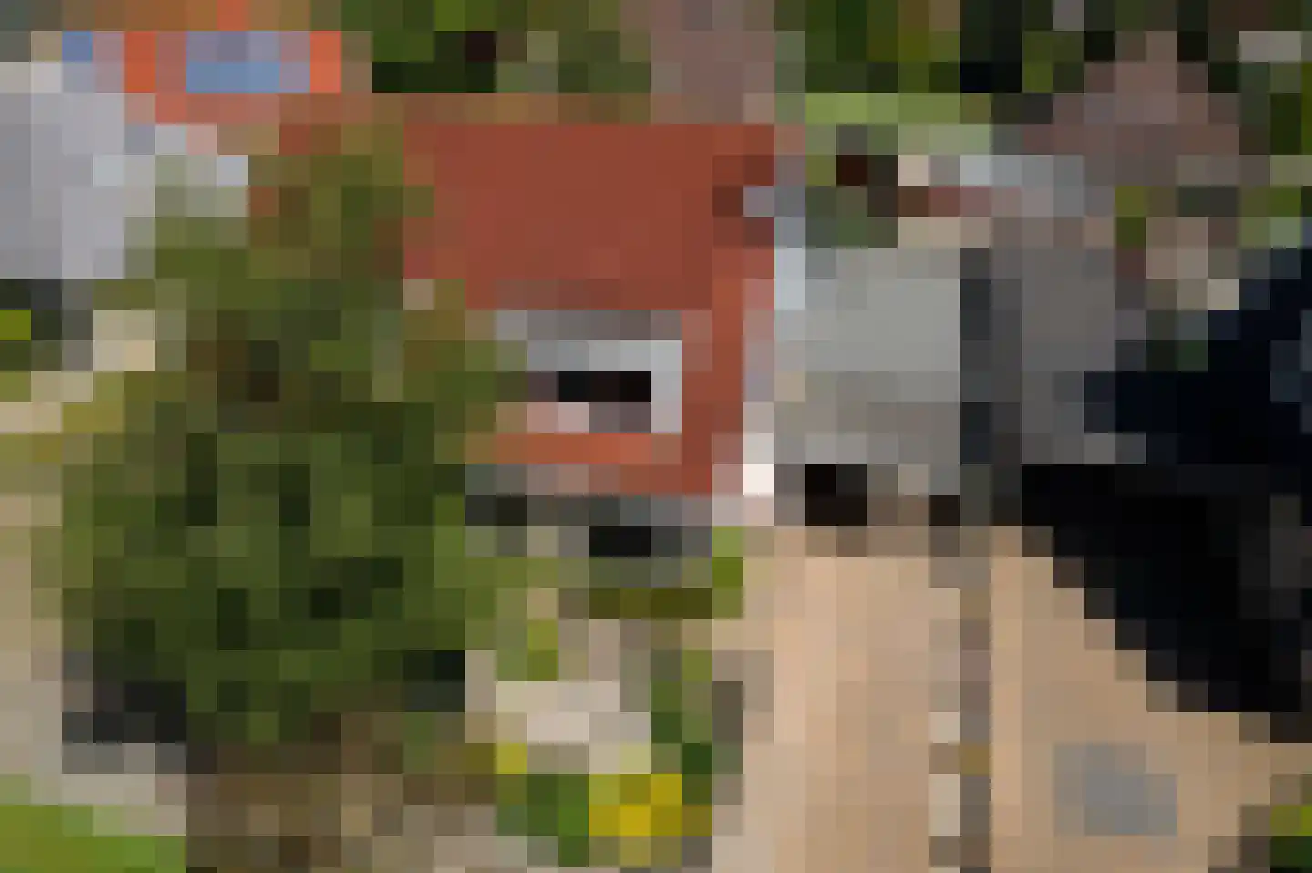 Merkelân 20 Witmarsum thumbnail 29