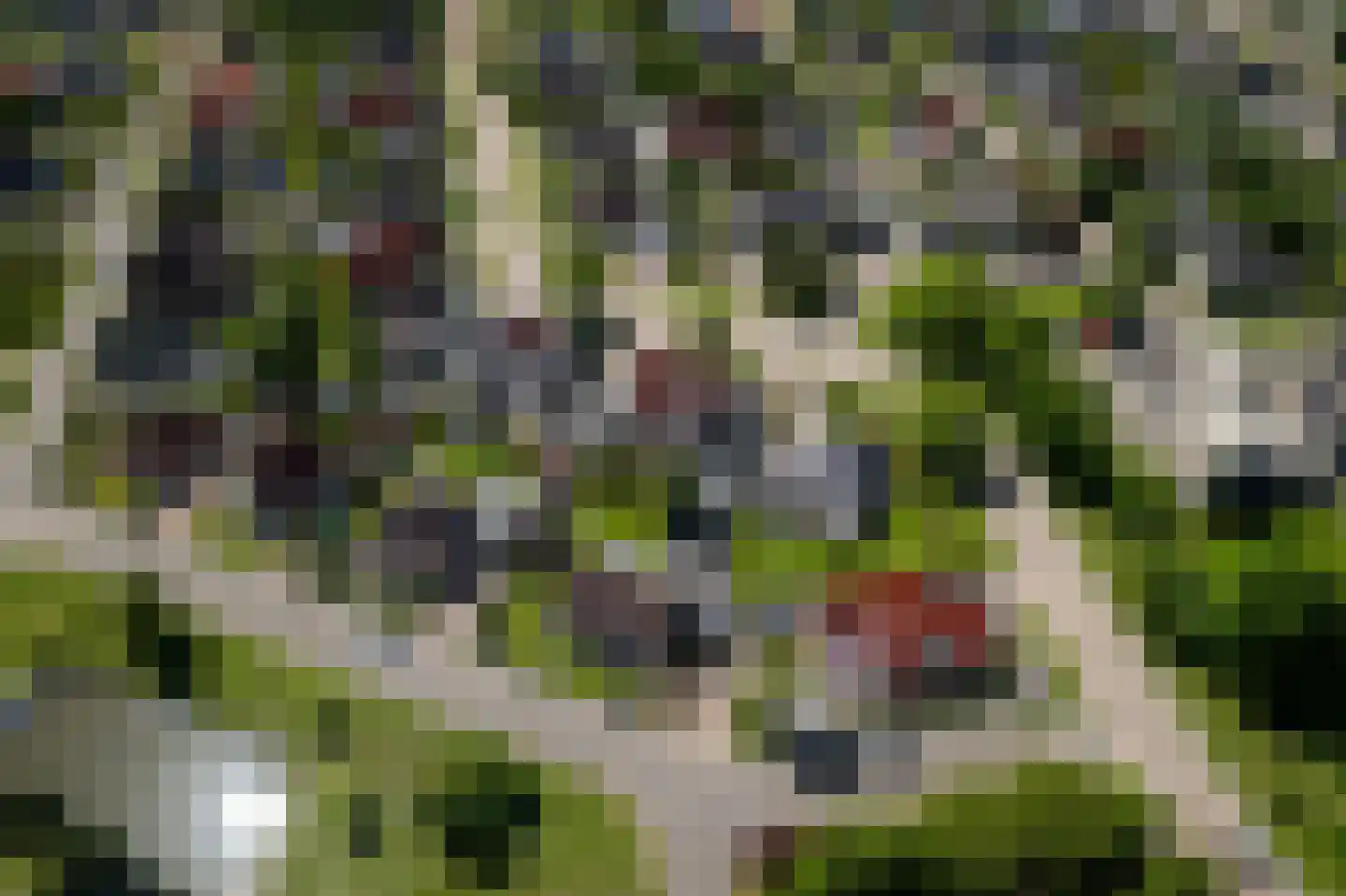 Merkelân 20 Witmarsum thumbnail 31