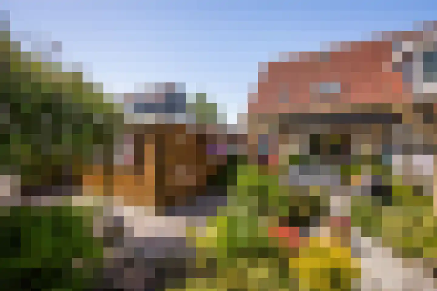 Merkelân 20 Witmarsum thumbnail 4