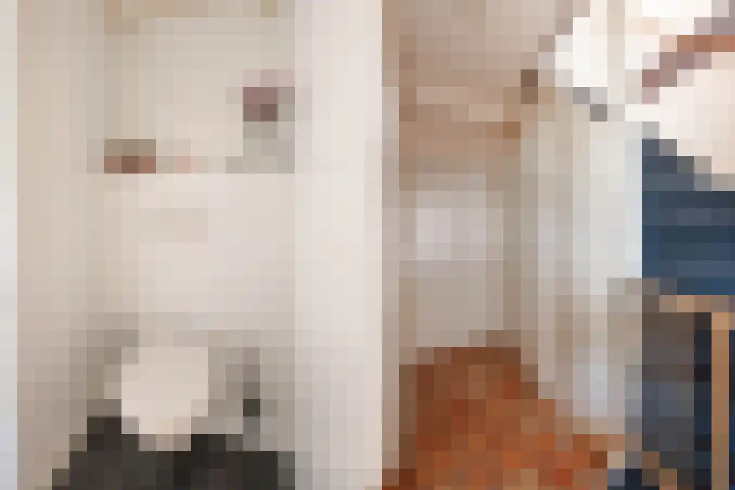 Merkelân 20 Witmarsum thumbnail 8
