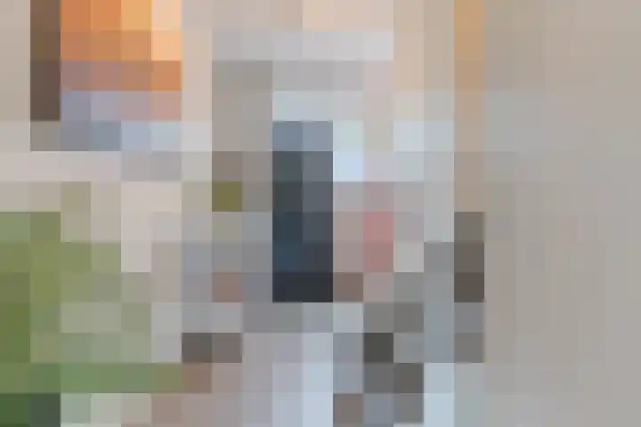 Merkelbachlaan 11 Eindhoven thumbnail 11