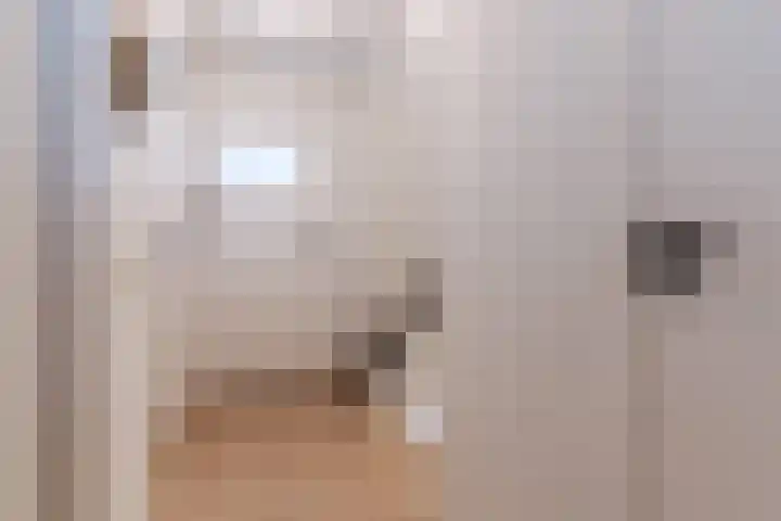 Merkelbachlaan 11 Eindhoven thumbnail 25