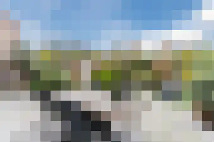 Merkelbachlaan 11 Eindhoven thumbnail 47