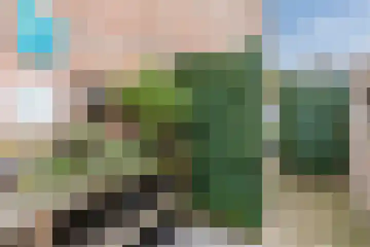 Merkelbachlaan 11 Eindhoven thumbnail 50