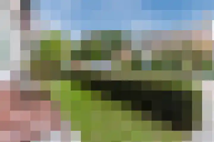 Merkelbachlaan 11 Eindhoven thumbnail 8