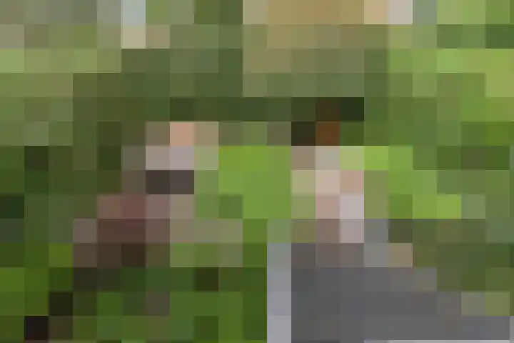 Merkelbachlaan 9 IJsselstein thumbnail 11