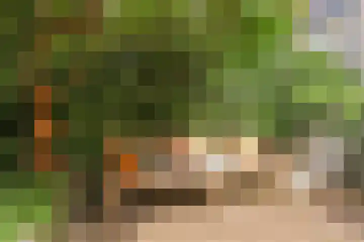 Merkelbachlaan 9 IJsselstein thumbnail 32