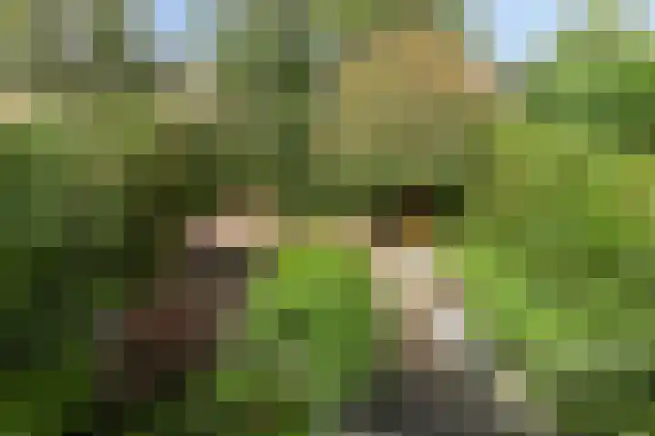 Merkelbachlaan 9 IJsselstein thumbnail 34
