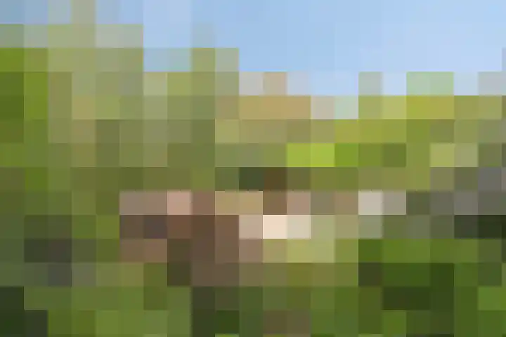 Merkelbachlaan 9 IJsselstein thumbnail 39