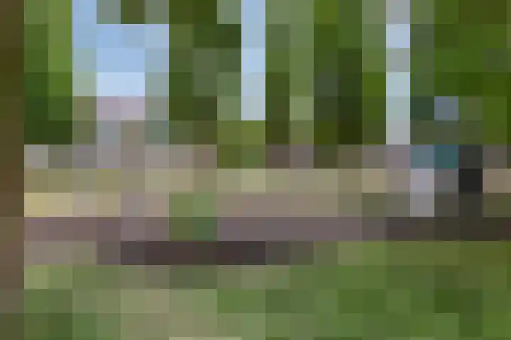 Merkelbachlaan 9 IJsselstein thumbnail 40