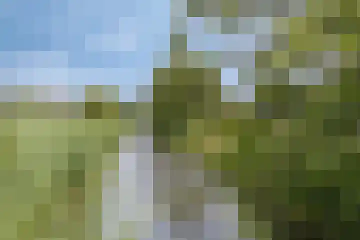 Merkelbachlaan 9 IJsselstein thumbnail 41