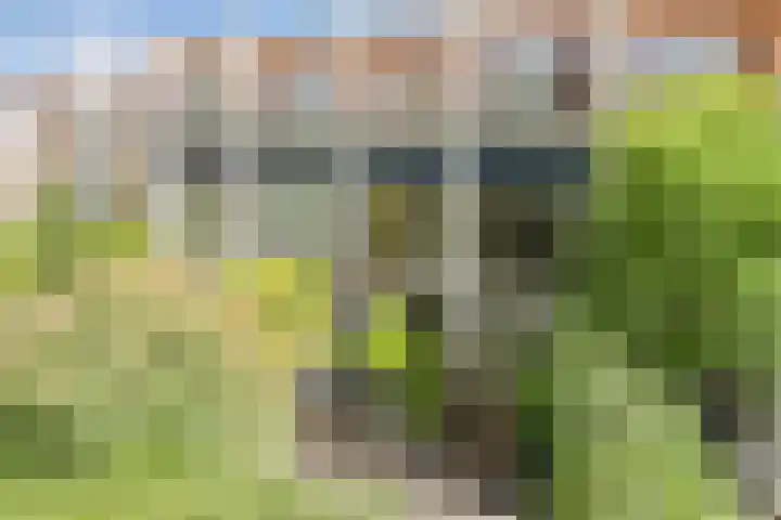 Merkelbachlaan 9 IJsselstein thumbnail 45