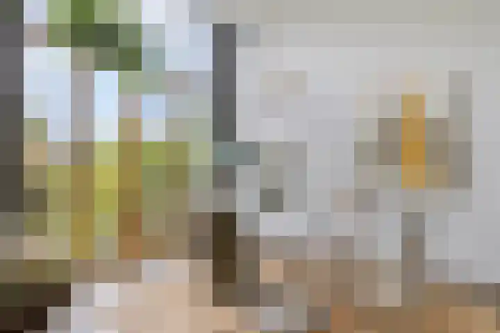 Merkelbachlaan 9 IJsselstein thumbnail 7