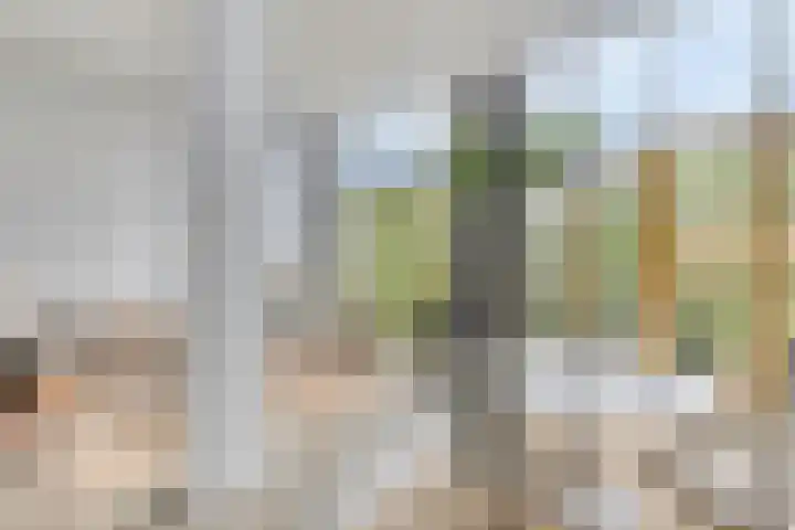 Merkelbachlaan 9 IJsselstein thumbnail 8