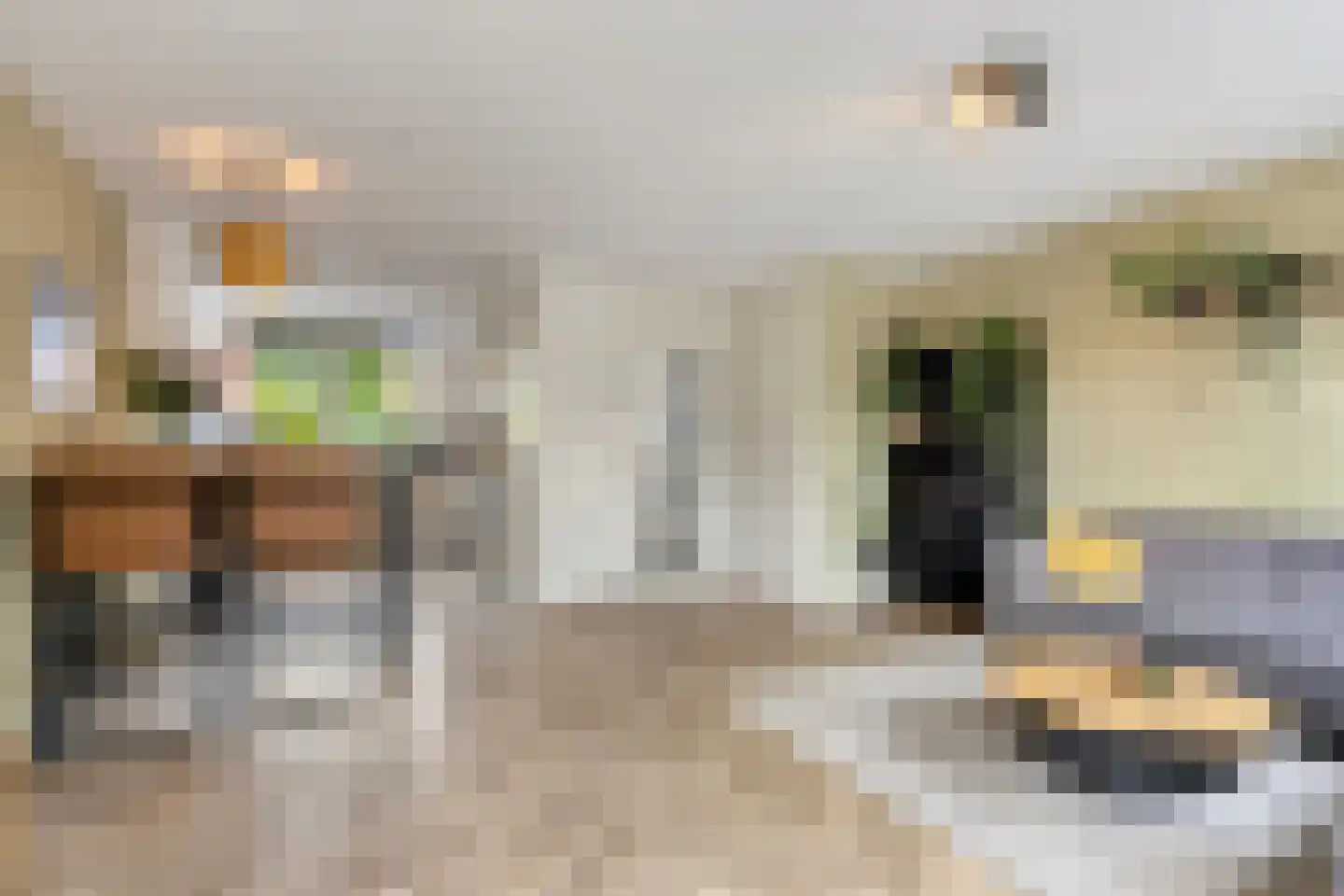 Merkelbachstraat 14 Groningen thumbnail 9