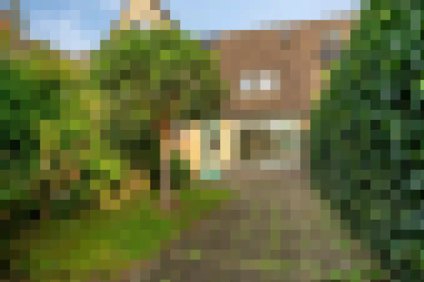 Merkelbachstraat 21 Amersfoort thumbnail 24
