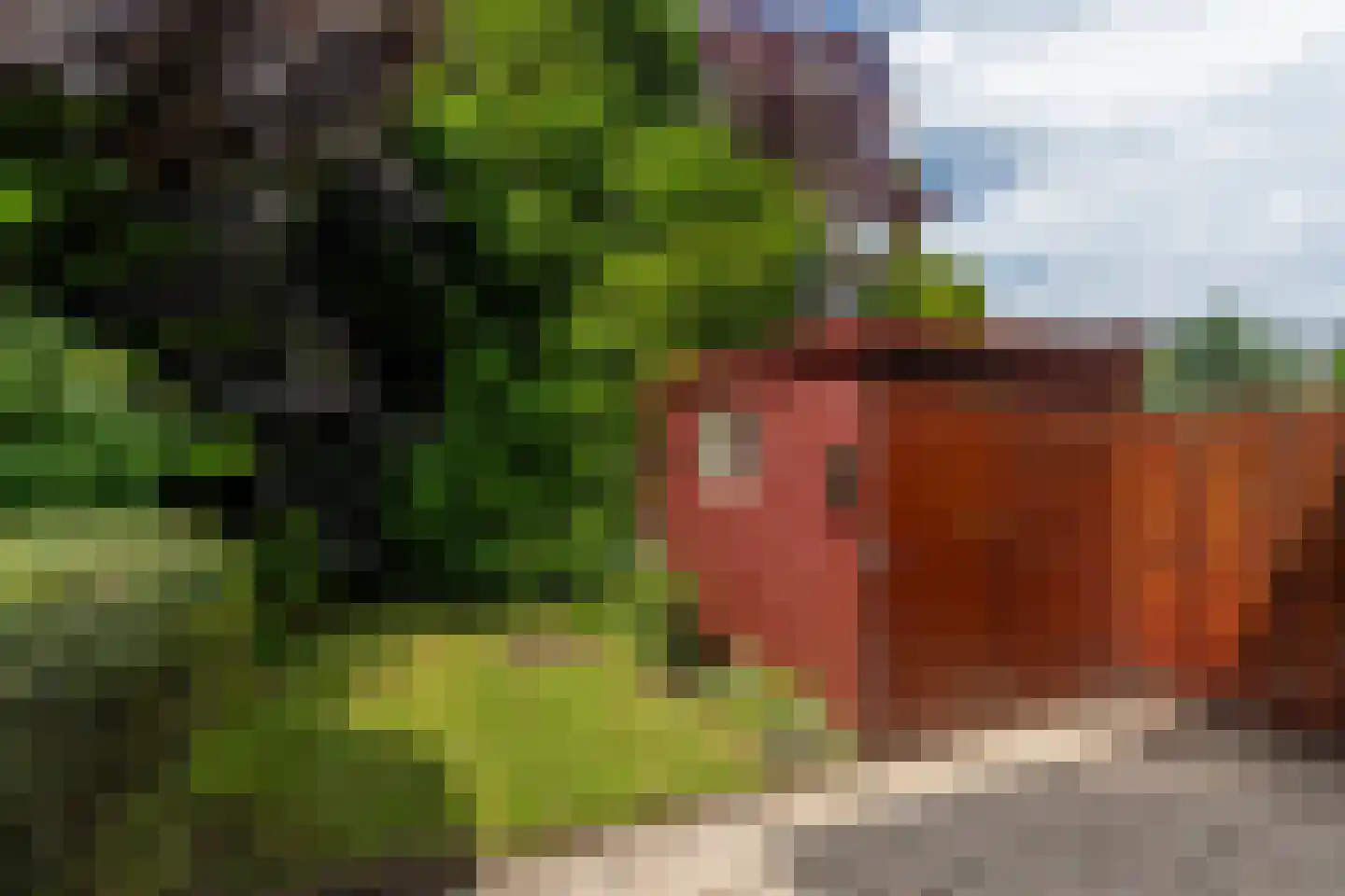 Merkelbachstraat 5 Rotterdam thumbnail 11