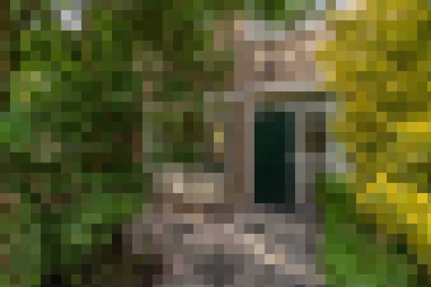 Merkelbachstraat 5 Rotterdam thumbnail 5