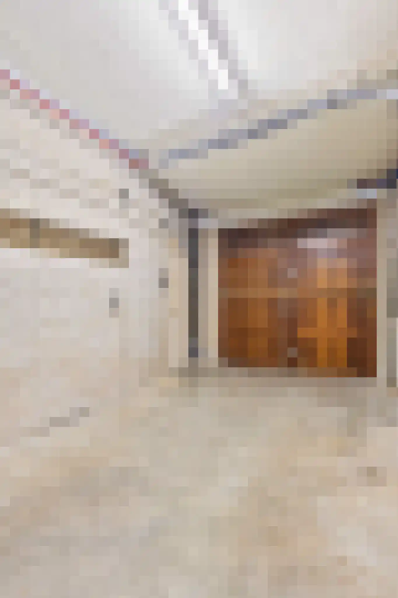 Merkelbeekerstraat 2 Brunssum thumbnail 22