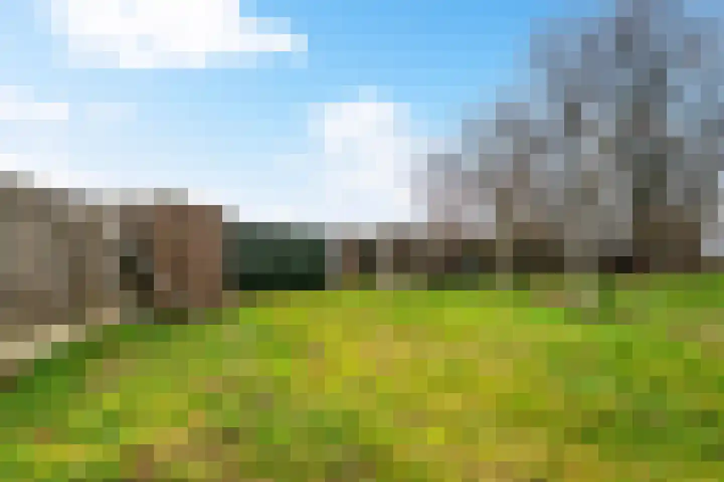Merkelbeekerstraat 38 Schinveld thumbnail 23