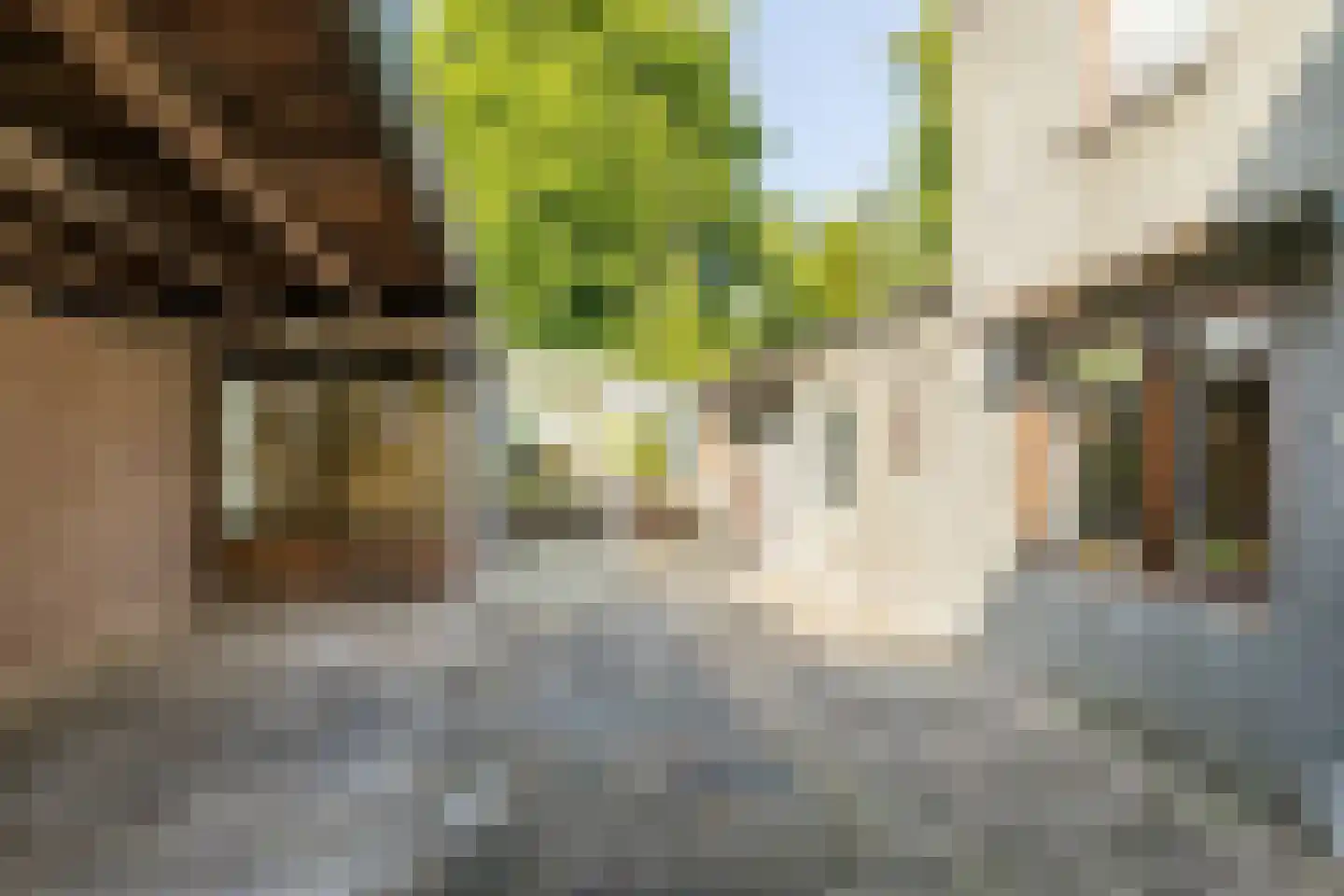 Merkelbeekerstraat 6 Schinveld thumbnail 33