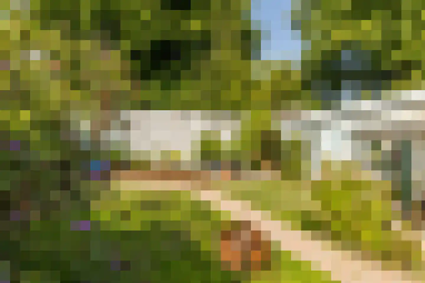 Merkelbeekerstraat 6 Schinveld thumbnail 4