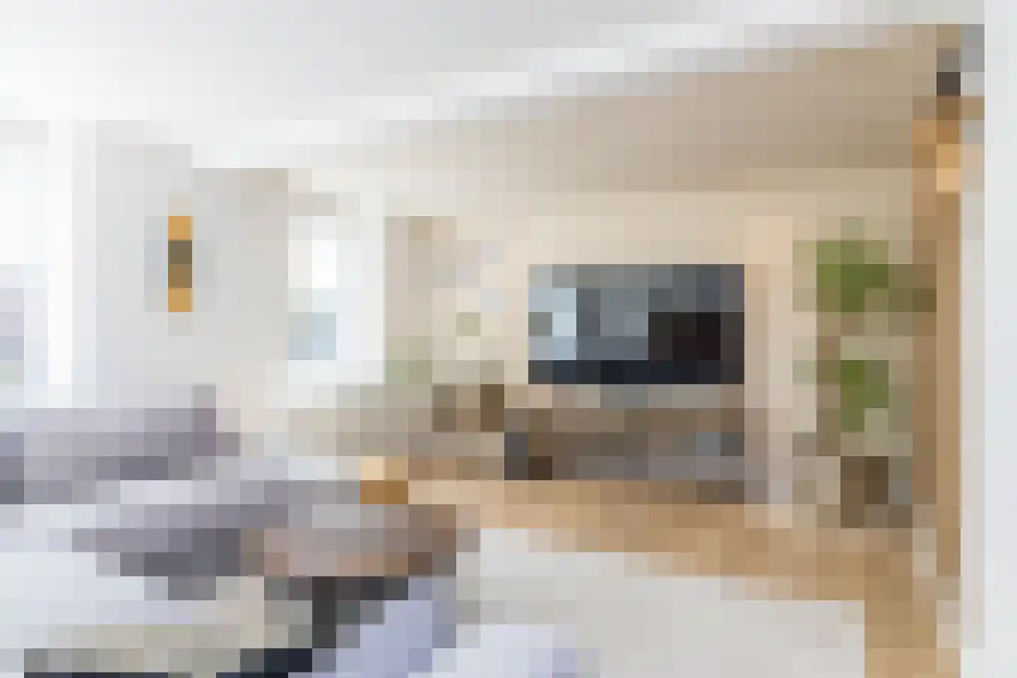 Merkelbeekerstraat 6 Schinveld thumbnail 6