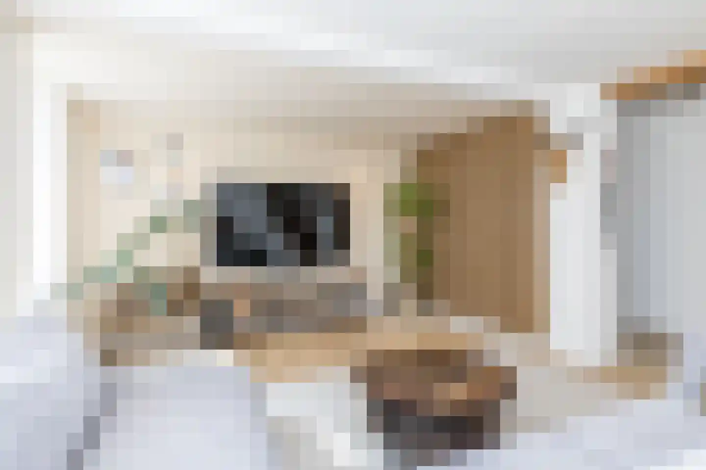 Merkelbeekerstraat 6 Schinveld thumbnail 7