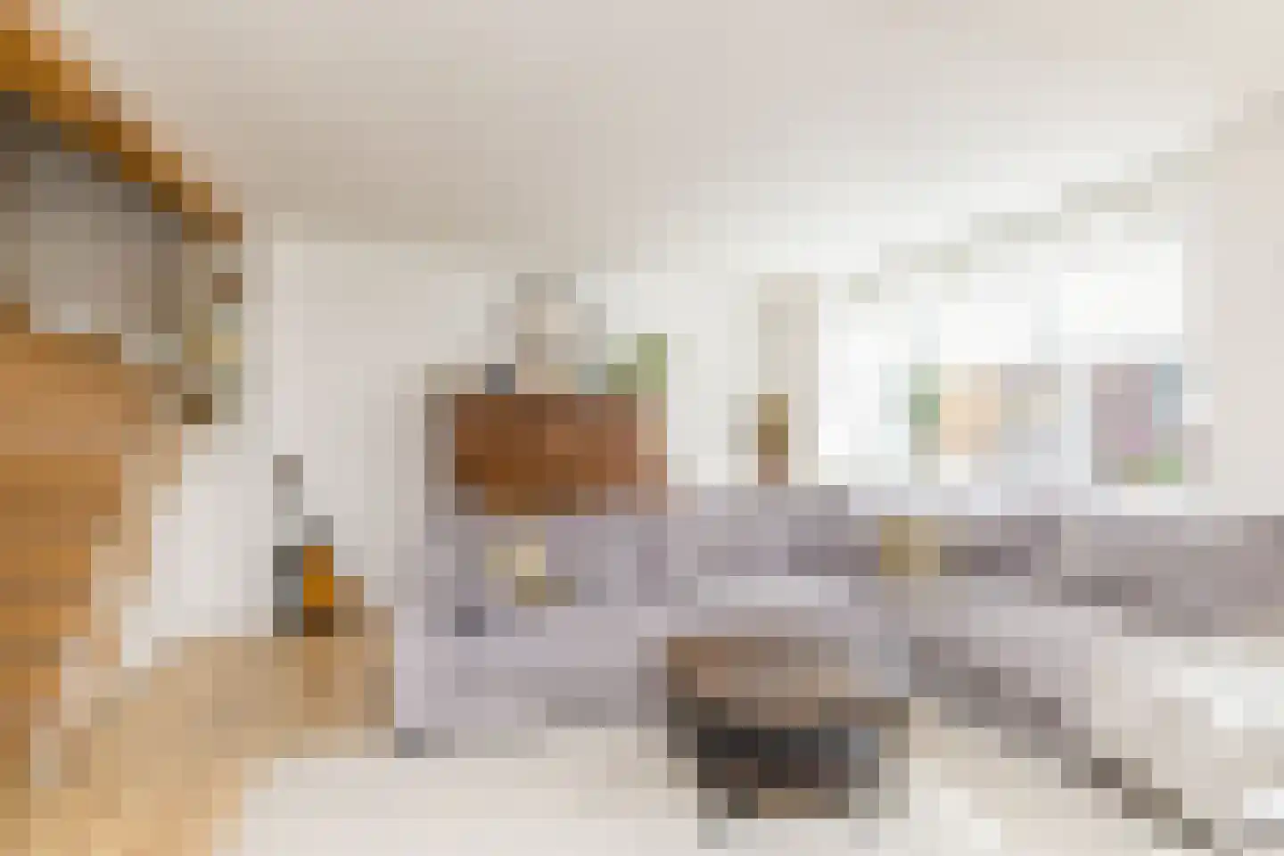 Merkelbeekerstraat 6 Schinveld thumbnail 8