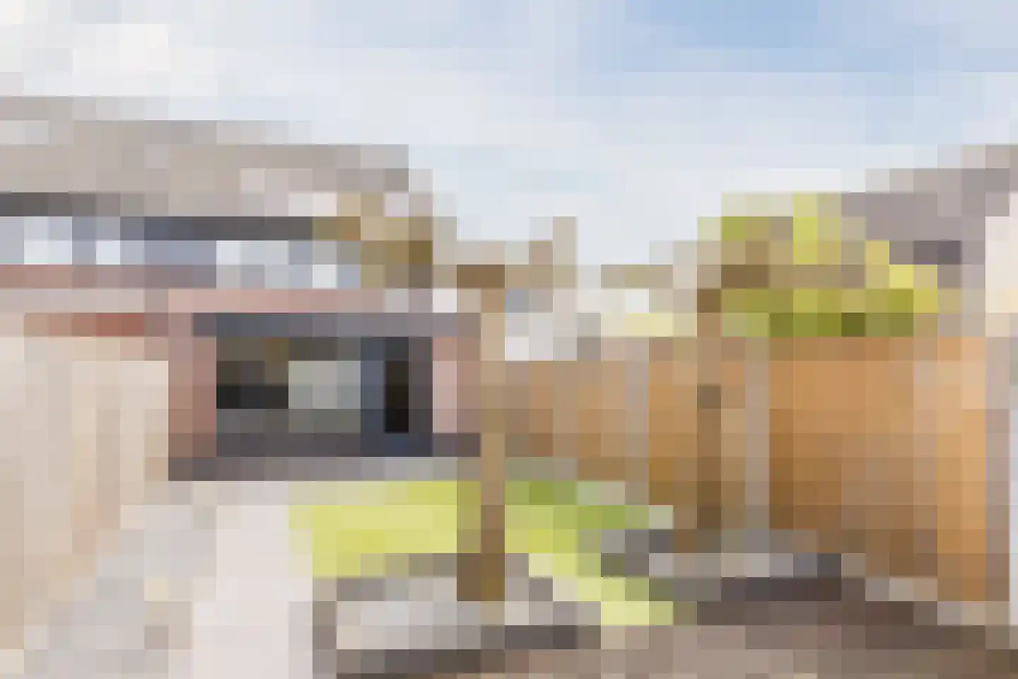 Merkelbeekstraat 17 Tilburg thumbnail 23