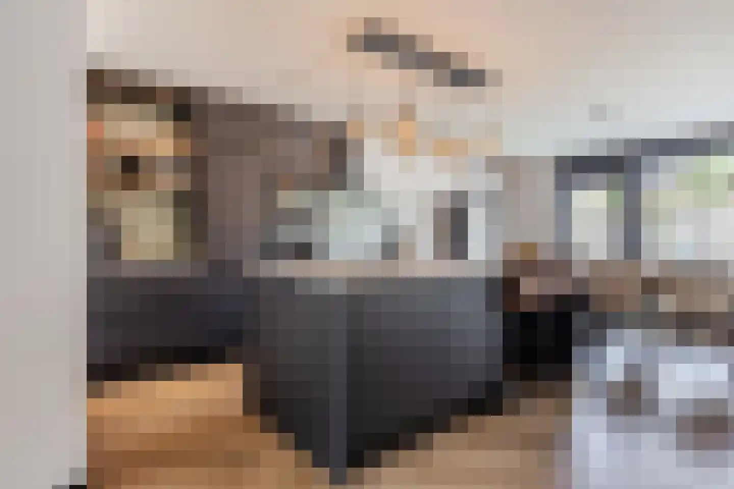 Merkelbeekstraat 17 Tilburg thumbnail 9