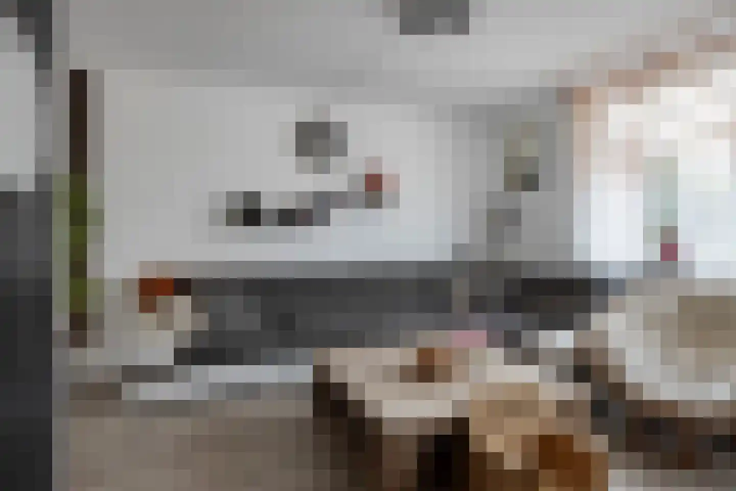 Merkelstraat 13 Maasbracht thumbnail 10