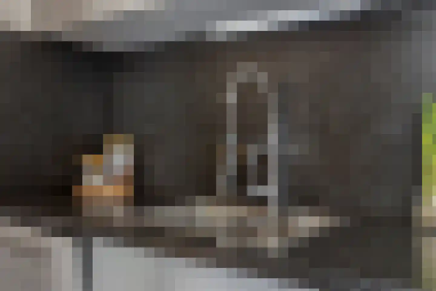 Merkelstraat 13 Maasbracht thumbnail 13