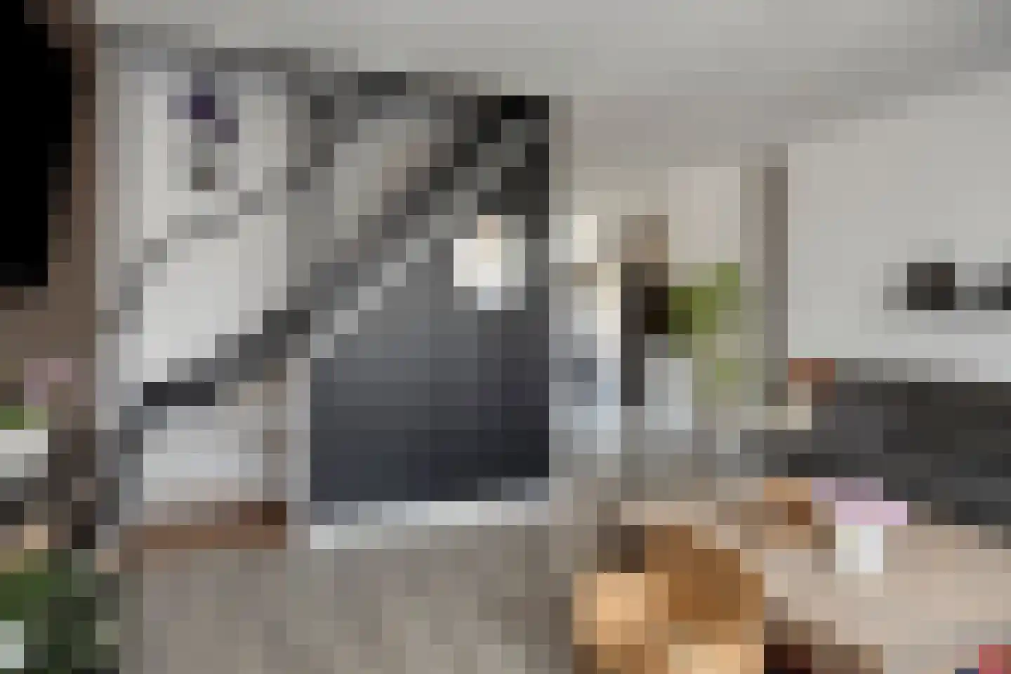 Merkelstraat 13 Maasbracht thumbnail 14