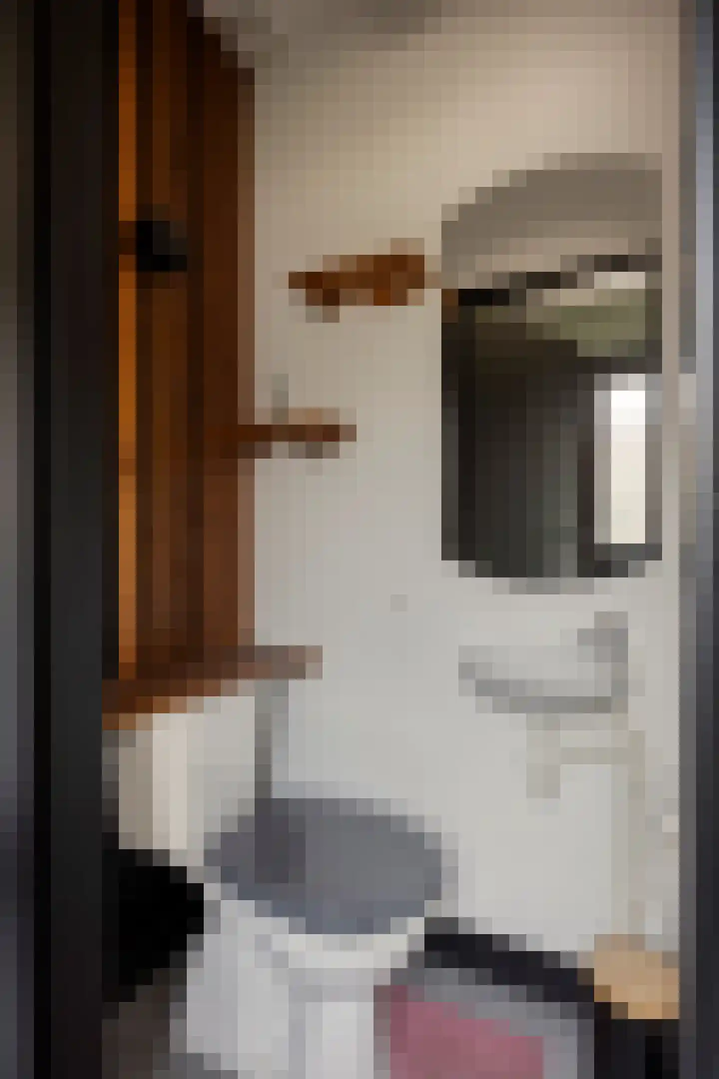 Merkelstraat 13 Maasbracht thumbnail 16
