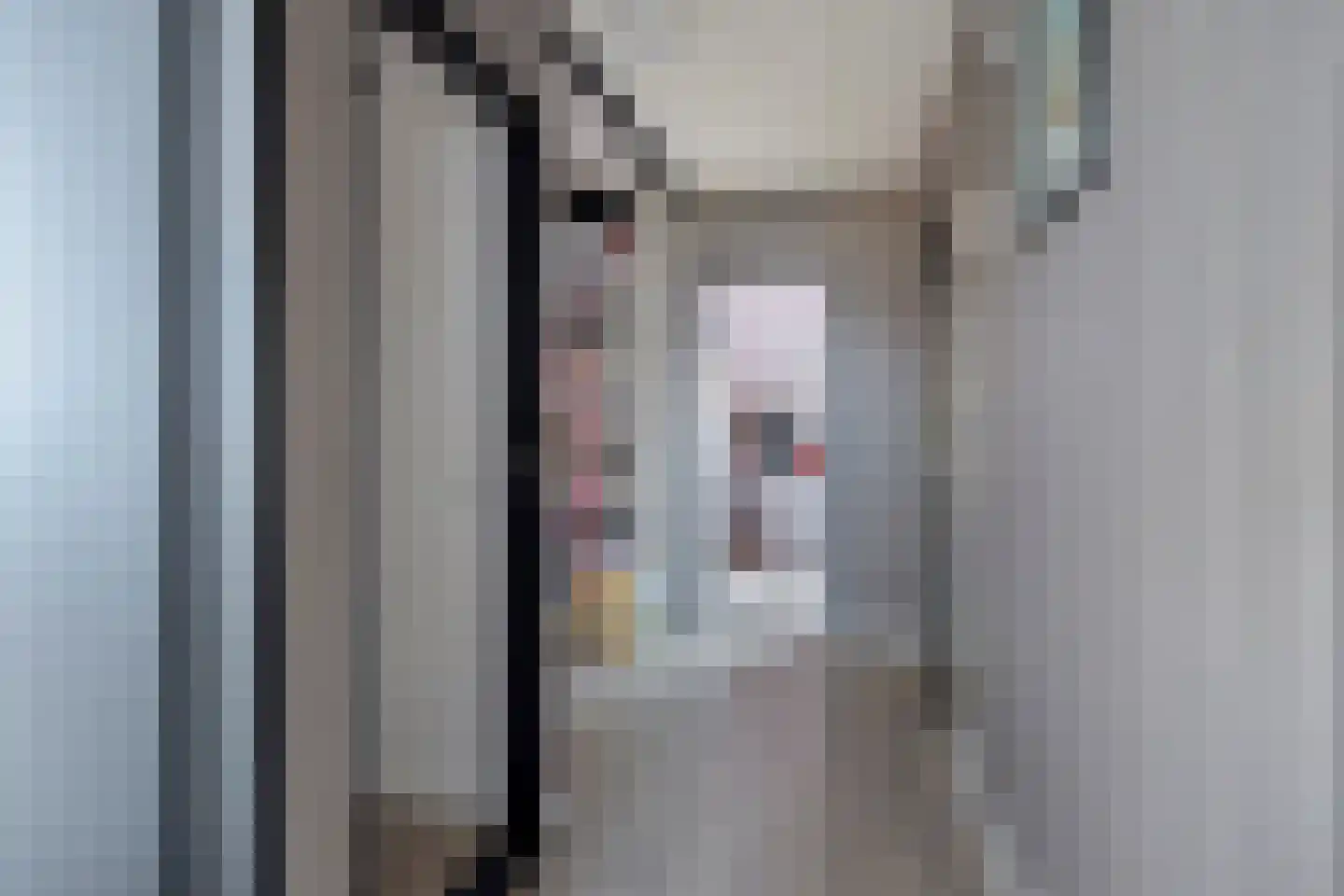 Merkelstraat 13 Maasbracht thumbnail 17