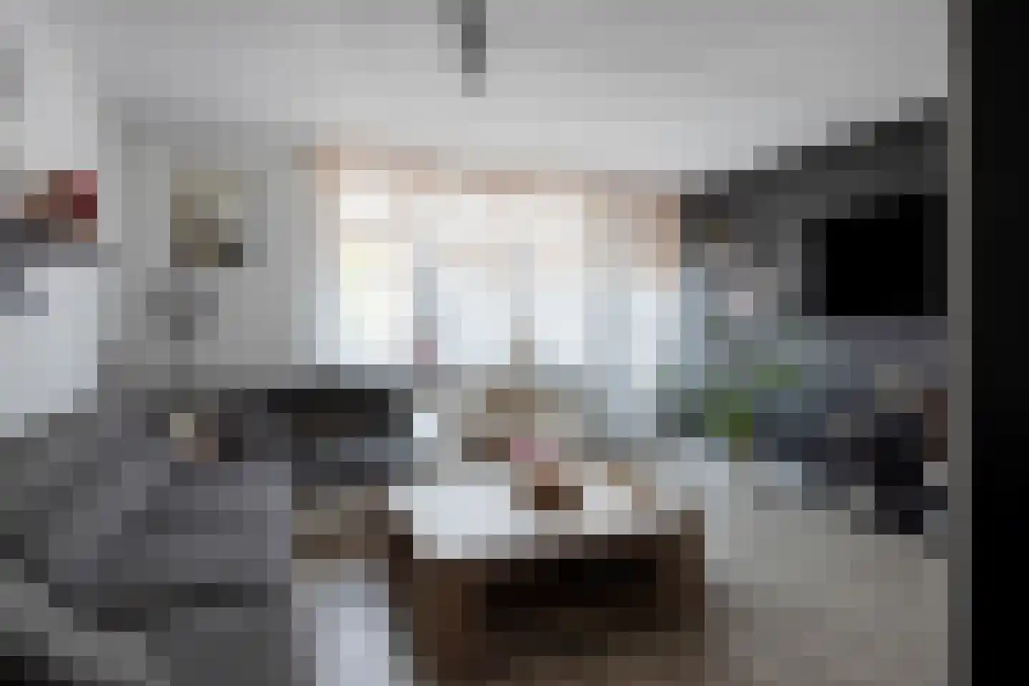 Merkelstraat 13 Maasbracht thumbnail 9
