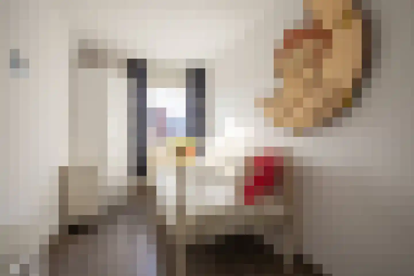 Merkelstraat 16 Maasbracht thumbnail 12