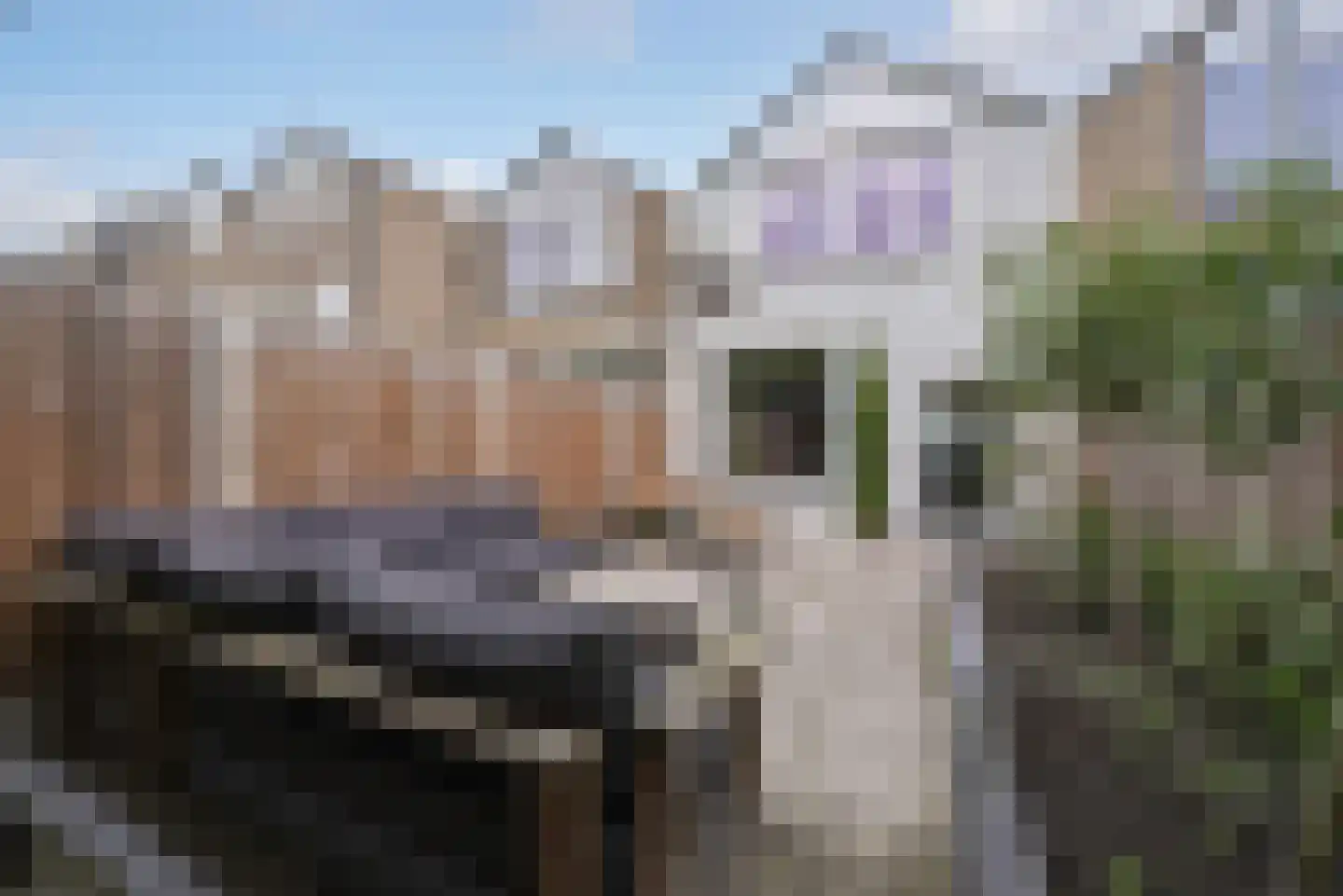 Merkenburg 37 Vlissingen thumbnail 23