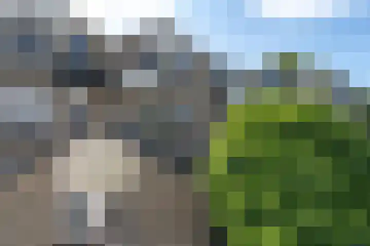 Merkenburg 49 Vlissingen thumbnail 5