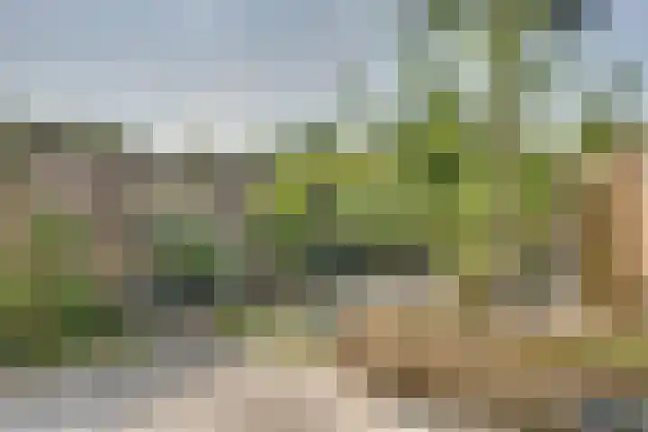 Merkenburg 49 Vlissingen thumbnail 57