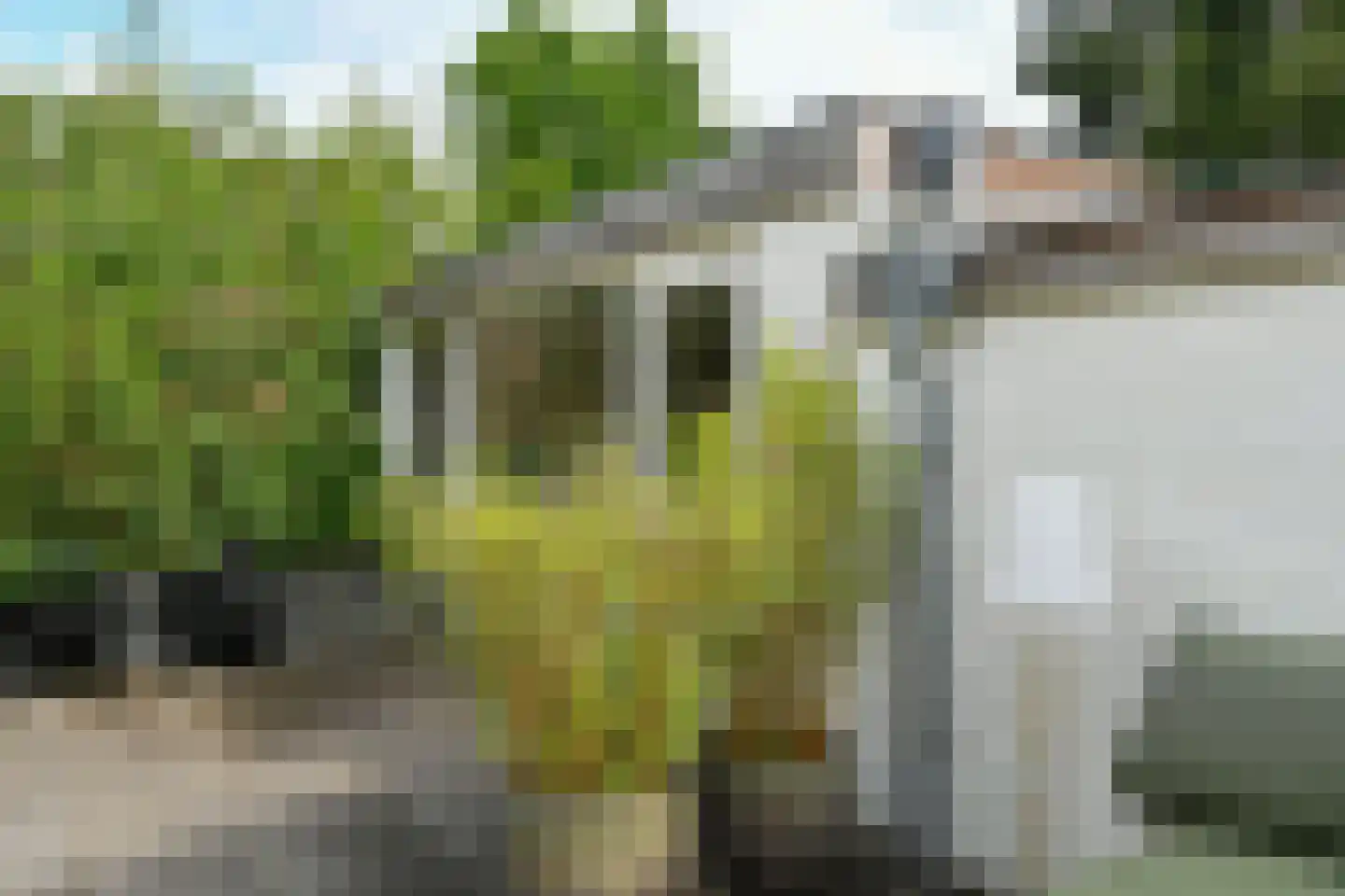 Merkendal 3 Arnhem thumbnail 35
