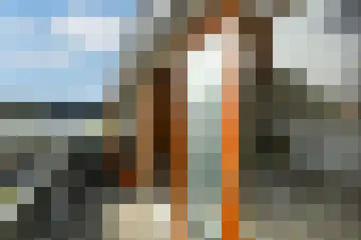 Merkenhorststraat 5 Herveld thumbnail 25